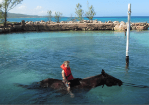 Screen Shot 2012-12-10 at 6.29.24 PM