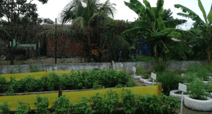 Screen Shot 2012-12-12 at 5.28.23 PM