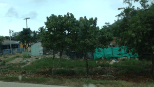 Screen Shot 2012-12-12 at 5.30.49 PM