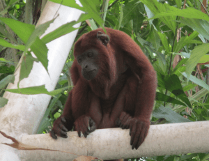 Screen Shot 2012-12-12 at 5.37.43 PM