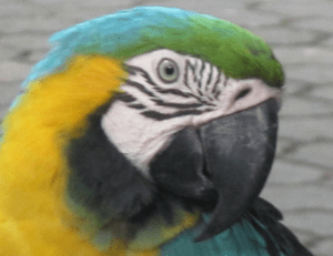 Screen Shot 2012-12-12 at 5.38.16 PM