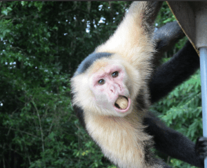 Screen Shot 2012-12-13 at 6.59.34 PM