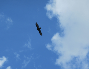 Screen Shot 2012-12-13 at 7.00.00 PM