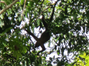 Screen Shot 2012-12-13 at 7.00.13 PM