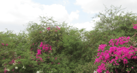 Screen Shot 2012-12-17 at 4.28.04 PM