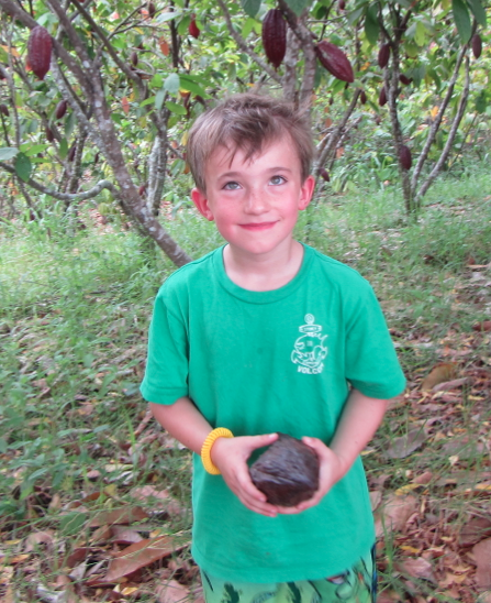 Screen Shot 2012-12-17 at 4.32.04 PM