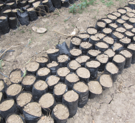 Screen Shot 2012-12-17 at 4.33.28 PM