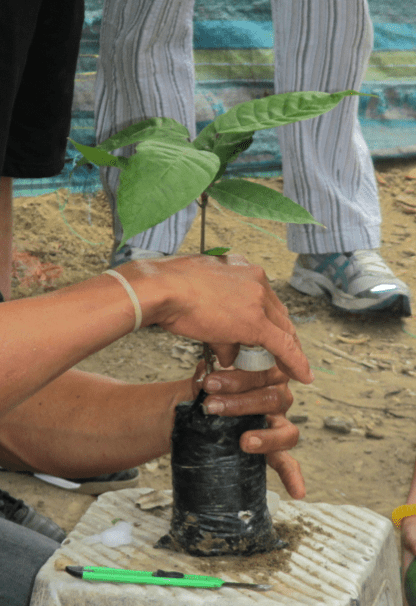 Screen Shot 2012-12-17 at 4.36.41 PM