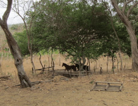 Screen Shot 2012-12-17 at 4.40.37 PM