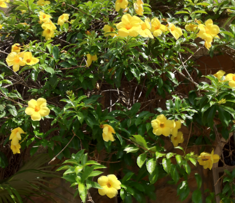 Screen Shot 2012-12-17 at 5.09.16 PM