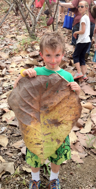 Screen Shot 2012-12-17 at 5.12.11 PM