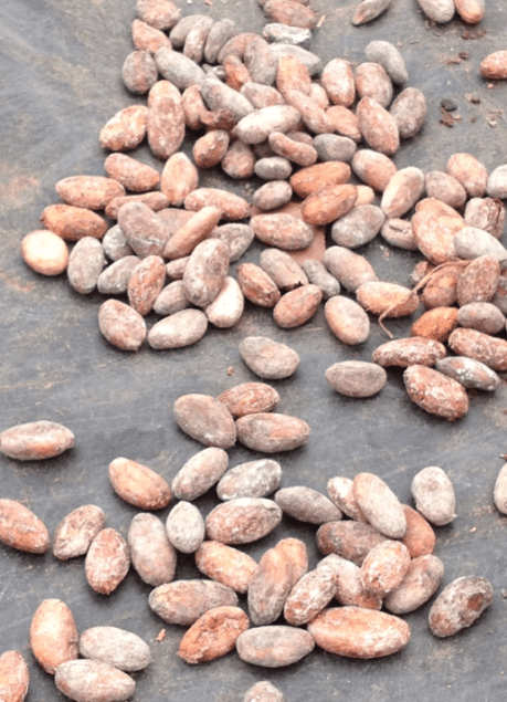 Screen Shot 2012-12-17 at 5.12.30 PM