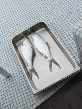 Screen Shot 2012-12-17 at 5.24.49 PM