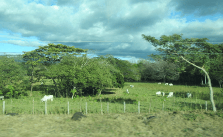 Screen Shot 2012-12-26 at 12.25.02 PM