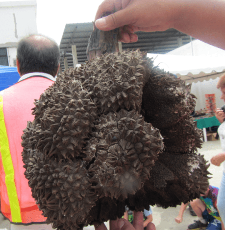 Screen Shot 2012-12-26 at 12.42.40 PM