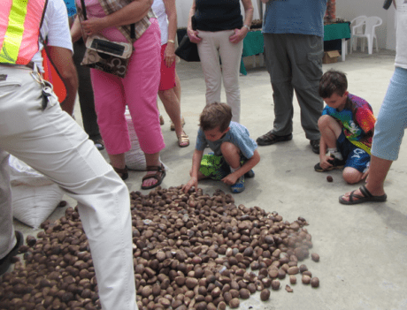 Screen Shot 2012-12-26 at 12.42.50 PM