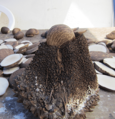 Screen Shot 2012-12-26 at 12.43.43 PM