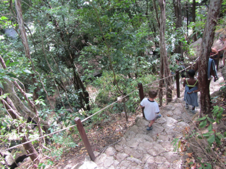 Screen Shot 2012-12-26 at 9.06.32 AM