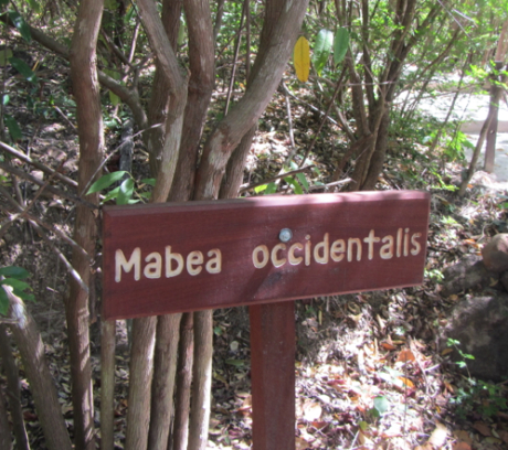 Screen Shot 2012-12-26 at 9.08.07 AM