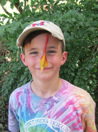 Screen Shot 2012-12-29 at 11.21.47 AM