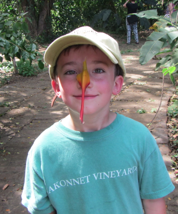 Screen Shot 2012-12-29 at 11.21.55 AM