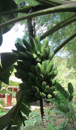 Screen Shot 2012-12-29 at 11.22.24 AM