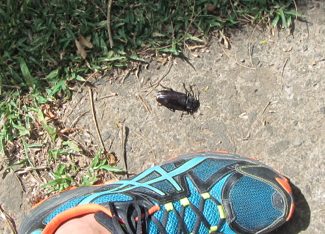 Screen Shot 2012-12-29 at 11.31.26 AM