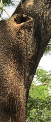 Screen Shot 2012-12-29 at 11.32.47 AM