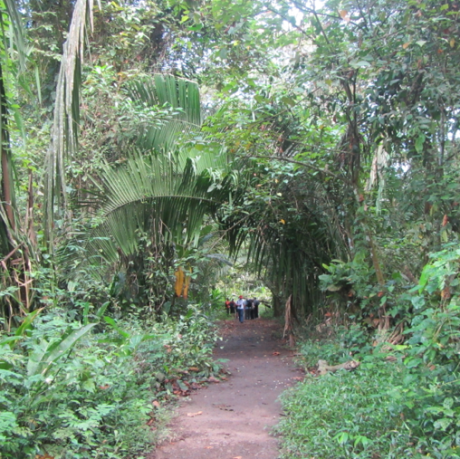 Screen Shot 2012-12-29 at 8.23.16 AM