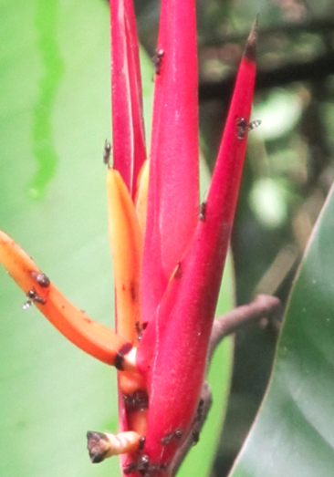 Screen Shot 2012-12-29 at 8.23.25 AM