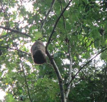 Screen Shot 2012-12-29 at 8.23.36 AM