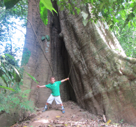 Screen Shot 2012-12-29 at 8.25.17 AM