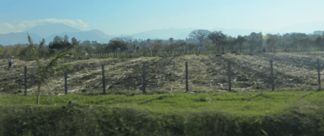 Screen Shot 2012-12-30 at 10.48.35 AM