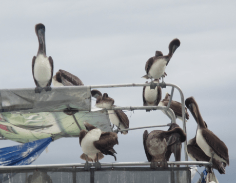 Screen Shot 2013-01-01 at 5.56.12 PM