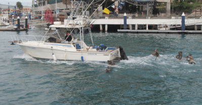 Screen Shot 2013-01-01 at 5.57.57 PM