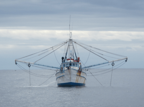 Screen Shot 2013-01-01 at 5.59.29 PM