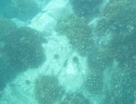 Screen Shot 2013-01-01 at 6.01.28 PM