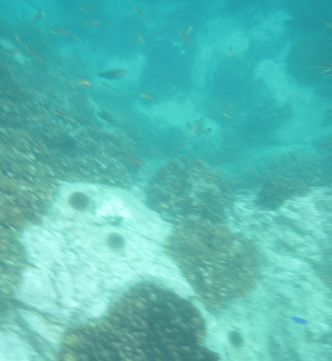 Screen Shot 2013-01-01 at 6.01.36 PM