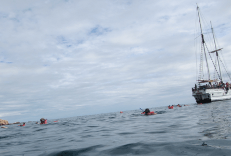 Screen Shot 2013-01-01 at 6.02.06 PM