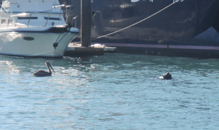 Screen Shot 2013-01-01 at 6.08.05 PM